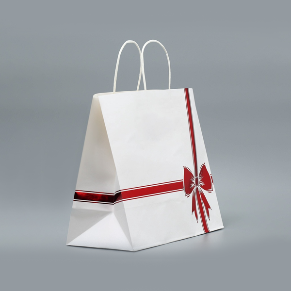 Paper Shopping Bags-2